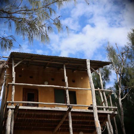 Tree House Cottage, Ocean View Tofo Luaran gambar