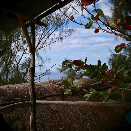 Tree House Cottage, Ocean View Tofo Luaran gambar